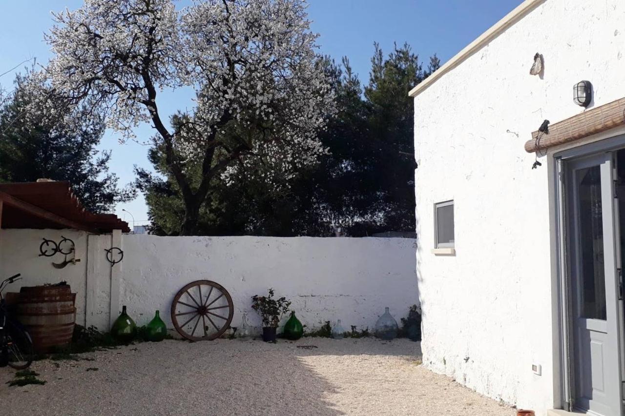 Bed and Breakfast La Controra Manduria Exterior foto
